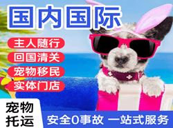 承德机场邮寄国际宠物托运 【国